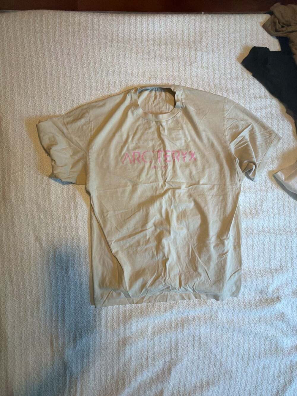 Arc'teryx Sky Pilot 1991 Graphic T-Shirt Beige Pink
